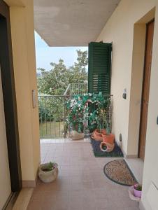 een hal met potplanten en een groene deur bij Casa Vacanze La Notte in Spello