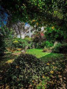 a park bench sitting in the middle of a garden at Yunga in Salta