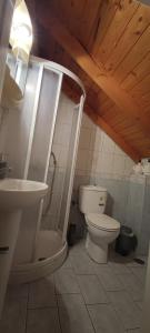 een badkamer met een toilet en een wastafel bij Οι Φωλίτσες in Nafpaktos