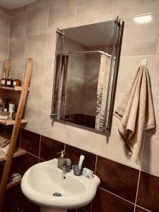 een badkamer met een wastafel en een spiegel bij Apartman Puket in Kraljevo