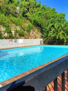 a large blue swimming pool next to a hill at T2 dans résidence calme avec piscine in Le Gosier