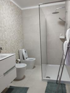 La salle de bains est pourvue de toilettes et d'une douche en verre. dans l'établissement Quinta da Casa Matilde - NATURE HOUSE, à Gerês