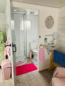 a bathroom with a shower and a sink and a toilet at Shabby Shack near Charlestown & The Eden Project in St Austell