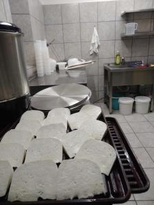 a bunch of white food on a tray in a kitchen at Maringotka na samotě na kozí farmě in Poběžovice