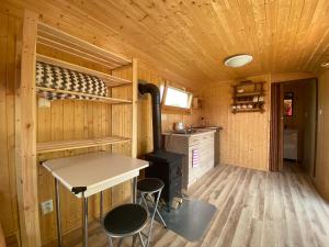 a kitchen with a stove in a wooden cabin at Maringotka na samotě na kozí farmě in Poběžovice