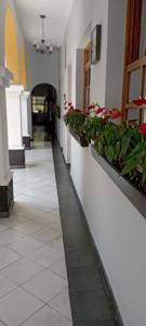 Fotografie z fotogalerie ubytování Hotel Don Alfonso v destinaci Pereira