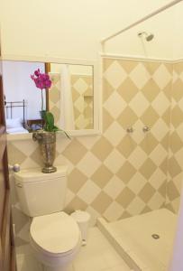 a bathroom with a toilet and a shower with a flower on top at Hotel Don Alfonso in Pereira