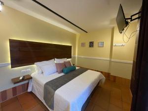 HOTEL CAMPESTRE MANOA客房内的一张或多张床位