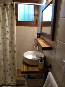 a bathroom with a sink and a shower curtain at Acogedor departamento Los Ranchos in Chacras de Coria