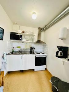 Il comprend une cuisine équipée d'un évier et d'une cuisinière. dans l'établissement Ringsjö Wärdshus Stugor, à Höör