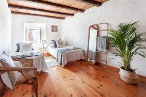 a living room with two beds and a potted plant at Oliveira Surf House Ericeira in Santo Isidoro