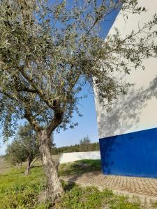 a tree next to a blue and white wall at Monte do Rochinha in Monte da Cardosa