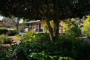 a yellow house with a tree in a yard at Sunshine House in Daylesford