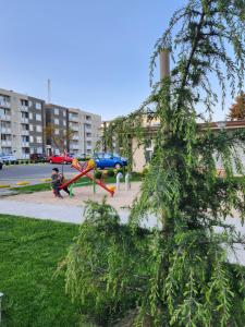 a park with a playground and a tree at Departamento full equipado in Temuco