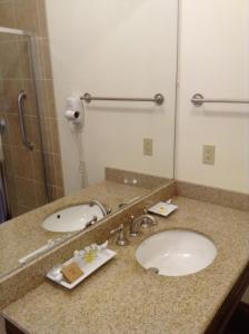 a bathroom counter with a sink and a mirror at The Queen Anne in New Orleans