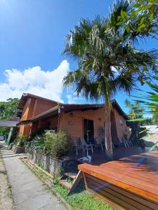 a house with a palm tree in front of it at Hostel Trópico de Capricórnio - Vermelha do Centro in Ubatuba