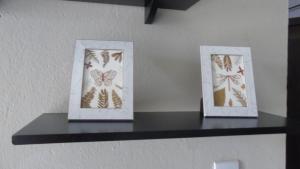 two framed pictures of butterflies on a shelf at Studio Próximo ao centro in Palmas