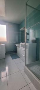 La salle de bains est pourvue d'un lavabo et d'une douche. dans l'établissement Chez Toni, à Troyes