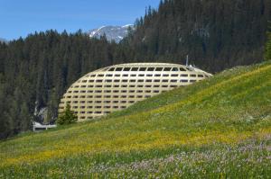 a building on a hill with a field of flowers at AlpenGold Hotel Davos in Davos