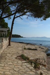 a tree on a stone path next to the ocean at Apartment David in Biograd na Moru