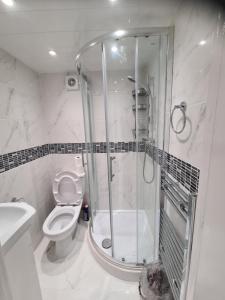 a bathroom with a shower and a toilet and a sink at Amazing 1 bed flat near Heathrow in Feltham