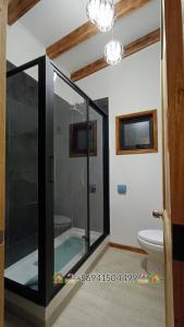 a bathroom with a glass shower and a toilet at Cabaña Playa Rosada in Valdivia