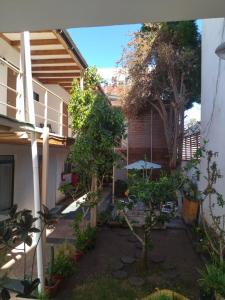 un patio de una casa con un árbol en Amaru Hotel, en Copiapó