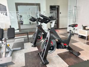 Fitness centrum a/nebo fitness zařízení v ubytování Iconic Hotel