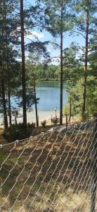 - une vue sur un lac à travers une clôture dans l'établissement Dom leśny w Konarzynach, à Stara Kiszewa
