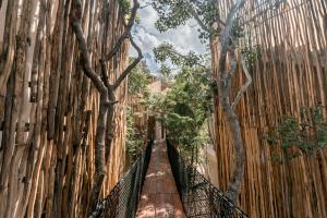 Foto sihtkohas Tulum asuva majutusasutuse Rubi Tulum galeriist