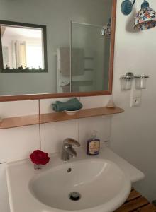 a white sink in a bathroom with a mirror at Le Balcon Commingeois in Chein-Dessus