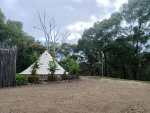 a white tent in a park with trees in the background at Macedon Ranges Glamping with kangaroos - Tent in Macedon