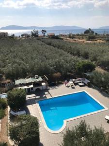 Tầm nhìn ra hồ bơi gần/tại Relaxing rural retreat in mainland Greece