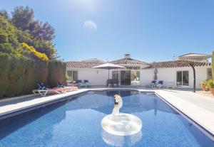 a swan in the water in a swimming pool at Pool Villa Rancho Domingo family friendly - Happy Rentals in Benalmádena