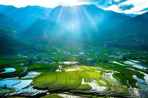 an aerial view of a rice field with mountains in the background at Homestay Hoa Sơn Tra in Mù Cang Chải