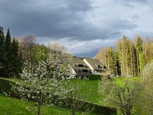 ein Haus inmitten eines Feldes mit Bäumen in der Unterkunft Prenočišča Mraz in Velenje