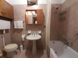 ブレンゾーネにあるDomus Antiquaのバスルーム(トイレ、洗面台、バスタブ付)