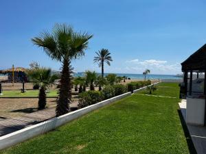 a row of palm trees in a park next to the beach at The Best Apartment on the beach 'Caesar Beach' Bogaz, North Cyprus in Boghaz
