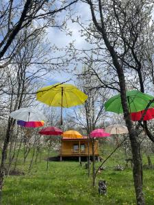 un grupo de paraguas de diferentes colores en un campo en Tiny Heaven Chidea 