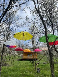 Zahrada ubytování Tiny Heaven Chidea + 17 fotografií