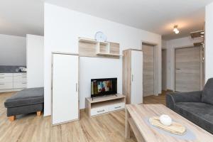a living room with a couch and a tv at Ferienwohnungen im Haus Deichnest in Bensersiel