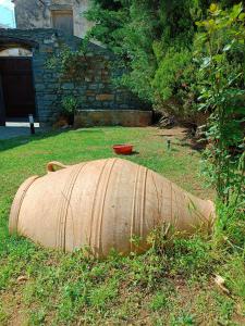 Κήπος έξω από το Casa di Pietra