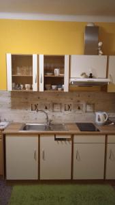 Kuchyň nebo kuchyňský kout v ubytování Ubytováni v soukromí Na Podluží