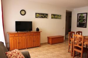A television and/or entertainment centre at Delfines II Solo Familias Serviplaya