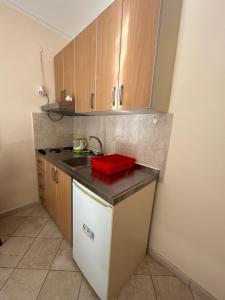 a kitchen with a sink and a counter top at Studio on the coast, with a view of the sunrise,free we-fi in Kotor
