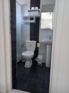 a bathroom with a white toilet and a sink at Villa Jankuloski in Ohrid