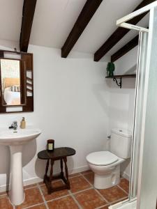 a bathroom with a toilet and a sink at Posada La Fontana in Santillana del Mar