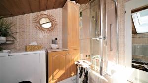 un bagno con doccia, lavandino e specchio di Traum Fewo Hindelang a Bad Hindelang Altre 10 foto