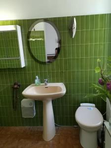 Baño de azulejos verdes con lavabo y aseo en La Taniere 16 couchages, en Vergèze