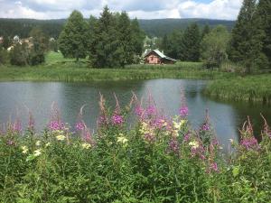 un laghetto con fiori rosa di fronte a una casa di Chez Ginette et Jean-François a Le Chenit